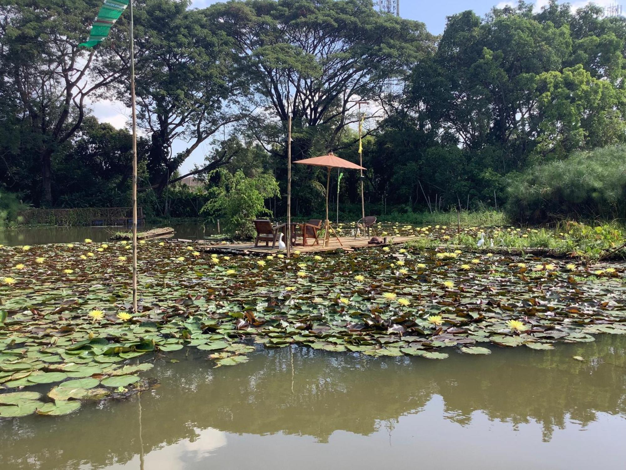 Saikaew Resort Chiang Rai Buitenkant foto