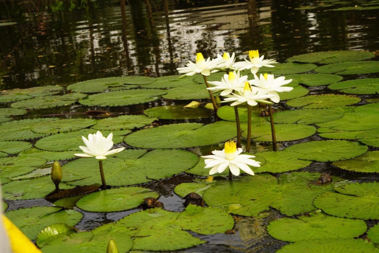 Saikaew Resort Chiang Rai Buitenkant foto
