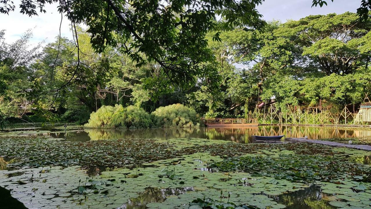 Saikaew Resort Chiang Rai Buitenkant foto